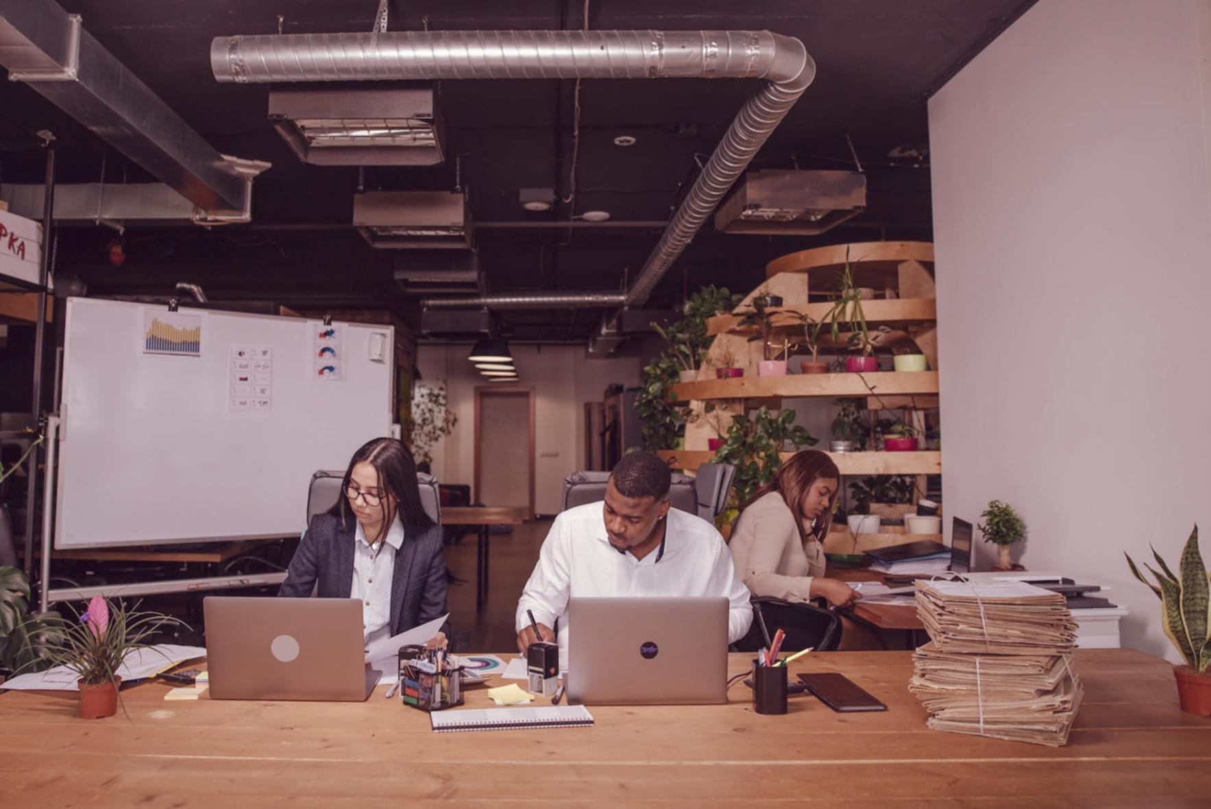 Formation SEO local en action